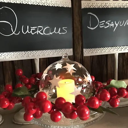 Hotel Quercus Tierra-2